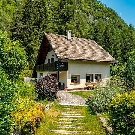 Hisa Nasproti Sonca Villa Kranjska Gora Kültér fotó